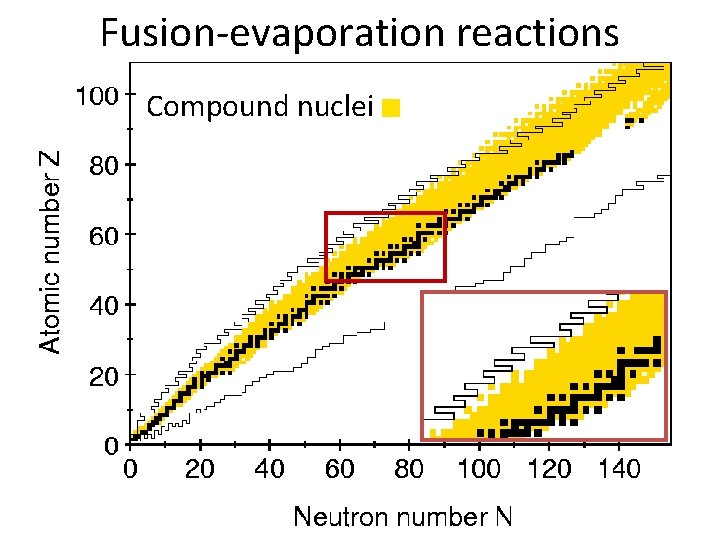 Fusion-evaporation reactions Compound nuclei 