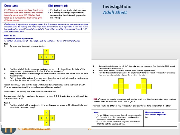 Investigation: Adult Sheet © hamilton-trust. org. uk 73 