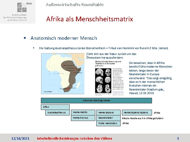 Außenwirtschafts-Roundtable Afrika als Menschheitsmatrix § Anatomisch moderner Mensch § Die Gattung Australopithecus (erste Menschenform