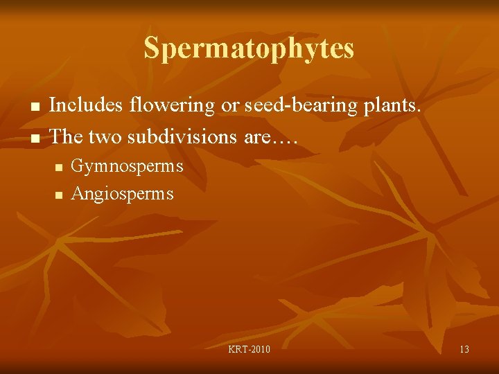 Spermatophytes n n Includes flowering or seed-bearing plants. The two subdivisions are…. n n