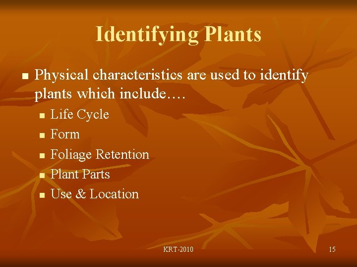 Identifying Plants n Physical characteristics are used to identify plants which include…. n n