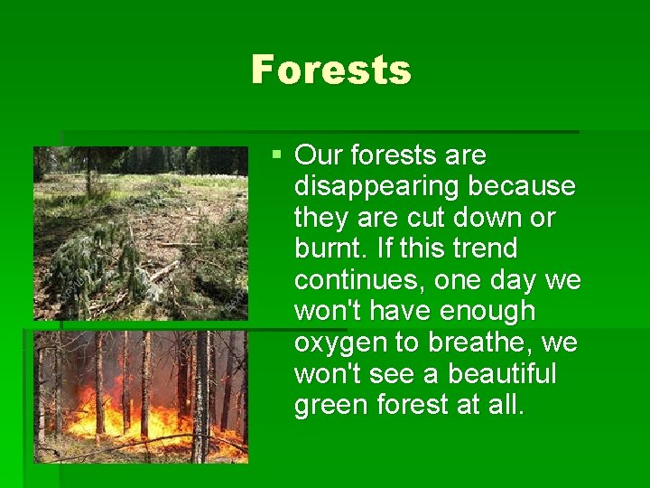 Forests § Our forests are disappearing because they are cut down or burnt. If