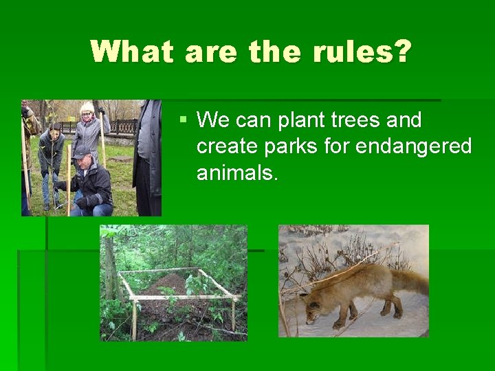 What are the rules? § We can plant trees and create parks for endangered