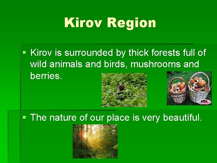 Kirov Region § Kirov is surrounded by thick forests full of wild animals and