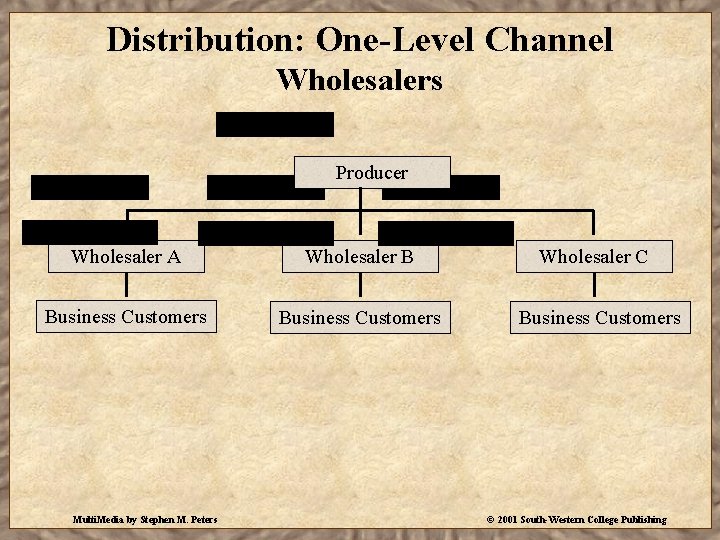 Distribution: One-Level Channel Wholesalers Producer Wholesaler A Wholesaler B Wholesaler C Business Customers Multi.