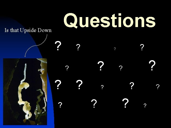 Questions Is that Upside Down ? ? ? ? ? 