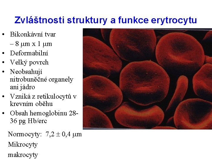 Zvláštnosti struktury a funkce erytrocytu • Bikonkávní tvar – 8 m x 1 m