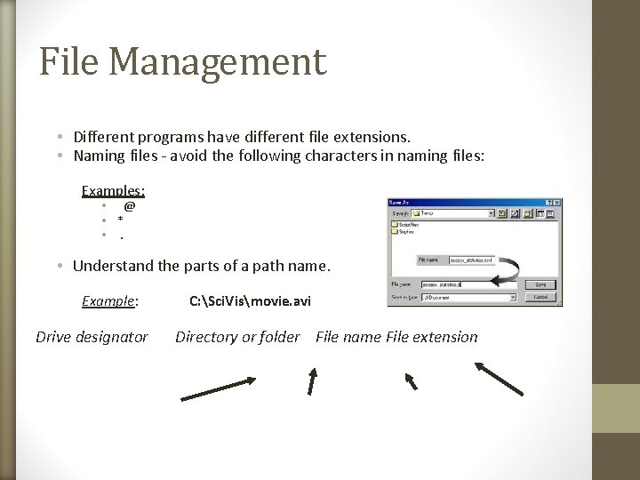 File Management • Different programs have different file extensions. • Naming files - avoid