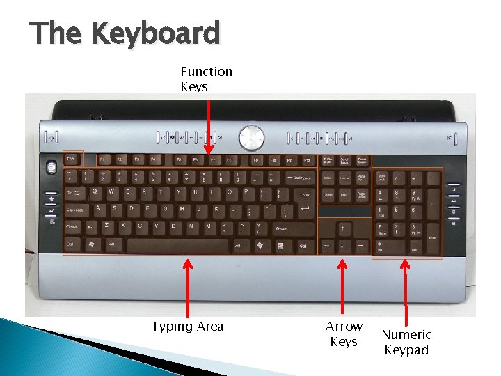 The Keyboard Function Keys Typing Area Arrow Keys Numeric Keypad 