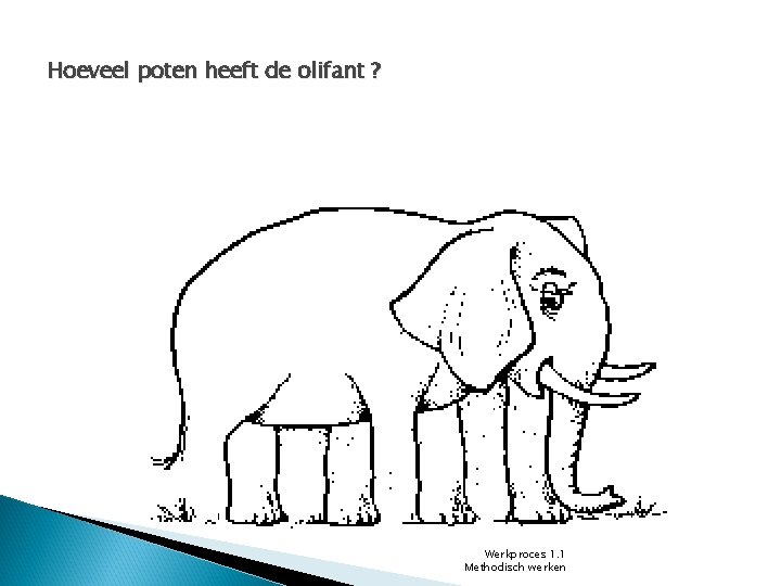 Hoeveel poten heeft de olifant ? . Werkproces 1. 1 Methodisch werken 