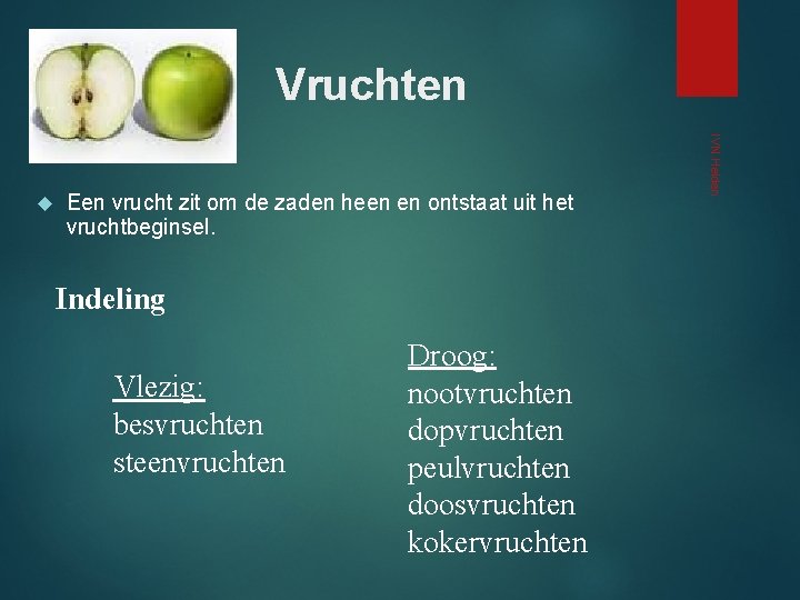 Vruchten Een vrucht zit om de zaden heen en ontstaat uit het vruchtbeginsel. Indeling