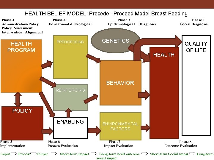 HEALTH BELIEF MODEL: Precede –Proceed Model-Breast Feeding HEALTH PROGRAM PREDISPOSING GENETICS HEALTH BEHAVIOR REINFORCING