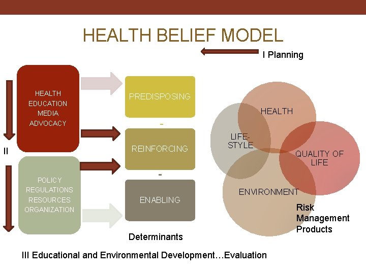 HEALTH BELIEF MODEL I Planning HEALTH EDUCATION MEDIA ADVOCACY PREDISPOSING HEALTH REINFORCING II LIFESTYLE