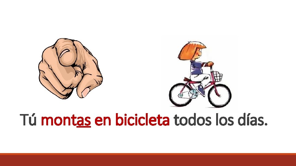 Tú montas en bicicleta todos los días. 