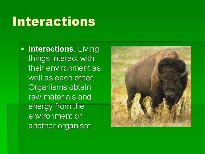 Interactions § Interactions. Living things interact with their environment as well as each other.