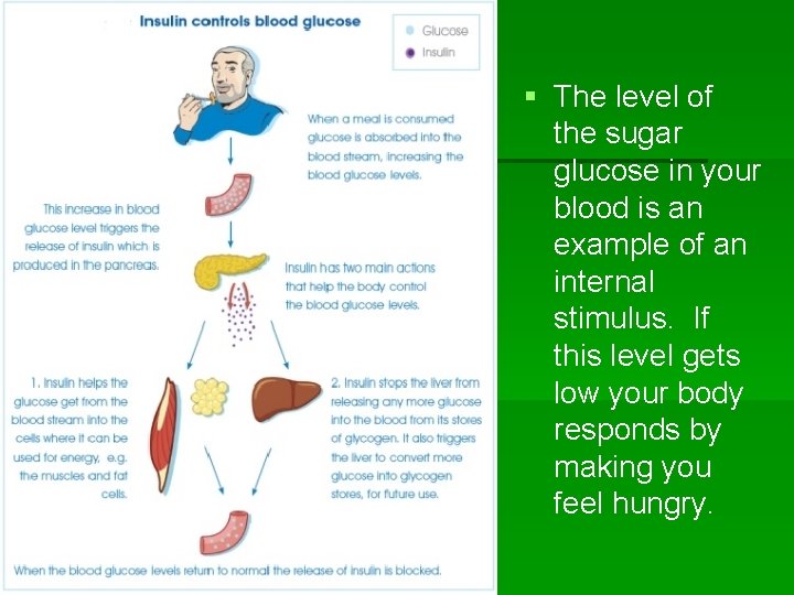 § The level of the sugar glucose in your blood is an example of