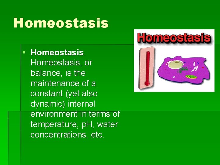 Homeostasis § Homeostasis, or balance, is the maintenance of a constant (yet also dynamic)