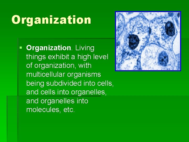 Organization § Organization. Living things exhibit a high level of organization, with multicellular organisms