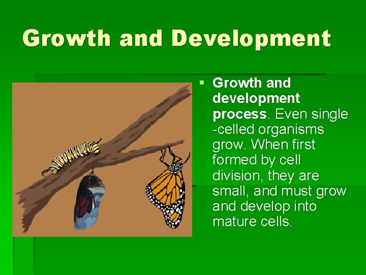 Growth and Development § Growth and development process. Even single -celled organisms grow. When