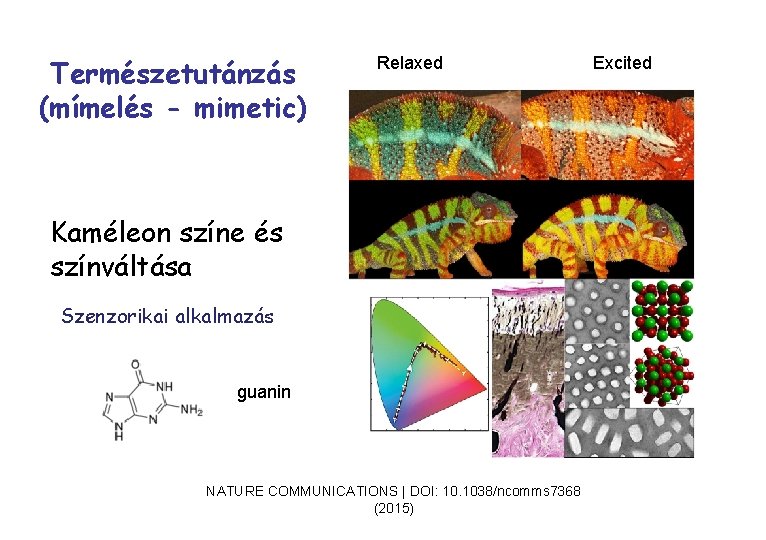 Természetutánzás (mímelés - mimetic) Relaxed Kaméleon színe és színváltása Szenzorikai alkalmazás guanin NATURE COMMUNICATIONS