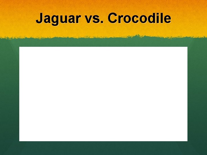 Jaguar vs. Crocodile 