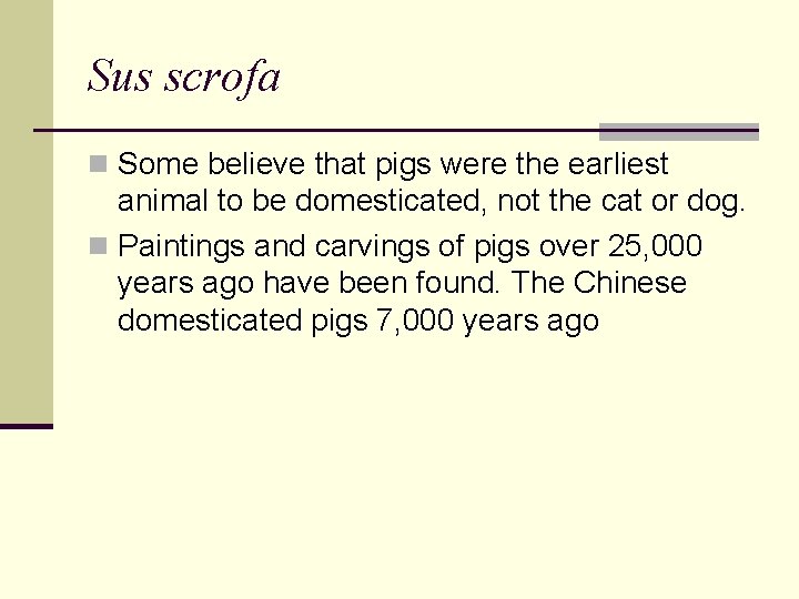 Sus scrofa n Some believe that pigs were the earliest animal to be domesticated,