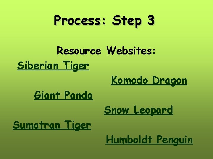 Process: Step 3 Resource Websites: Siberian Tiger Komodo Dragon Giant Panda Snow Leopard Sumatran