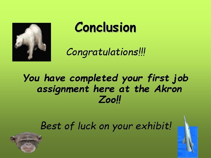 Conclusion Congratulations!!! You have completed your first job assignment here at the Akron Zoo!!