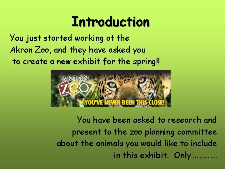 Introduction You just started working at the Akron Zoo, and they have asked you