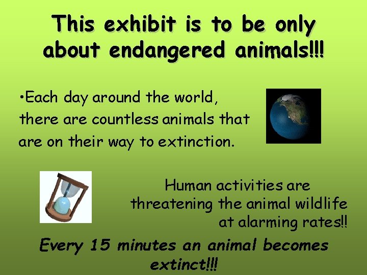 This exhibit is to be only about endangered animals!!! • Each day around the