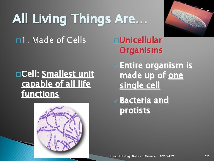 All Living Things Are… � 1. Made of Cells � Cell: Smallest unit capable