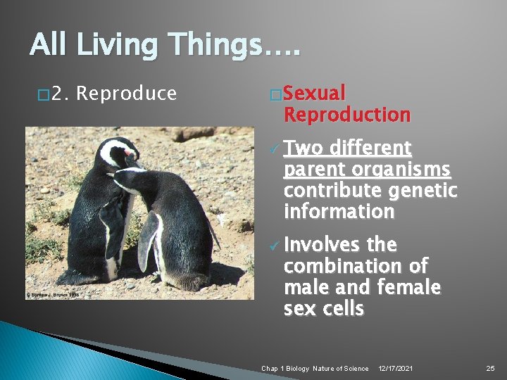 All Living Things…. � 2. Reproduce � Sexual Reproduction ü Two different parent organisms