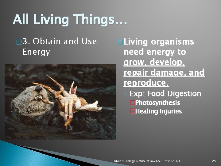 All Living Things… � 3. Obtain and Use Energy � Living organisms need energy