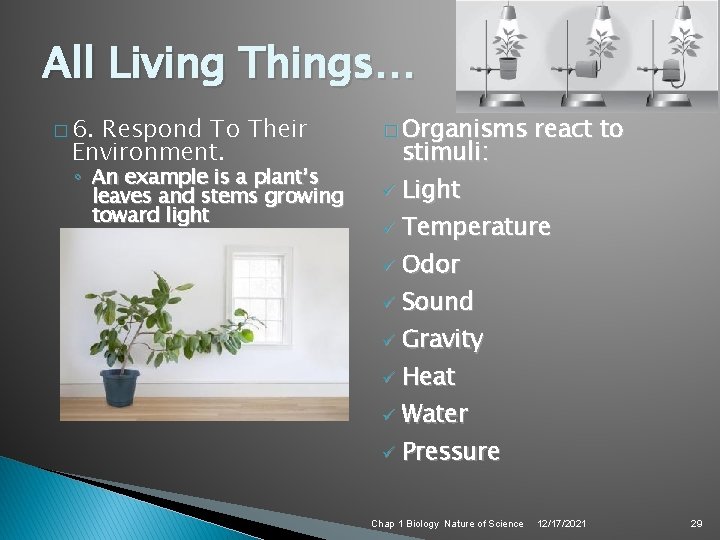 All Living Things… � 6. Respond To Their Environment. ◦ An example is a