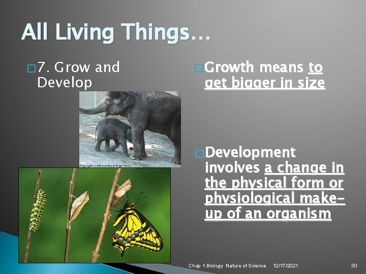 All Living Things… � 7. Grow and Develop � Growth means to get bigger