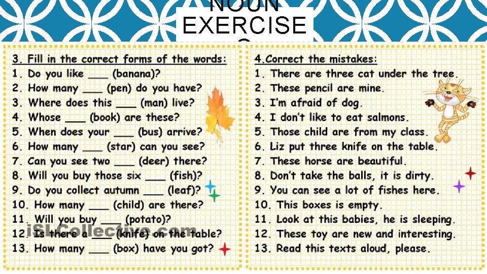 NOUN EXERCISE S 