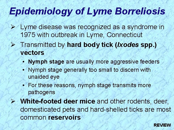 Epidemiology of Lyme Borreliosis Ø Lyme disease was recognized as a syndrome in 1975