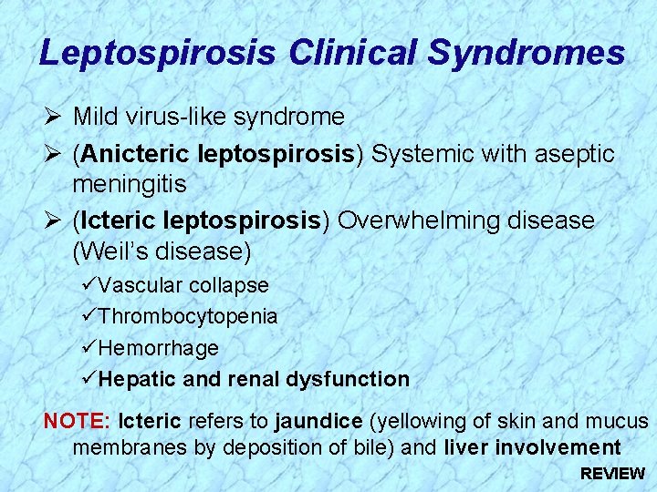 Leptospirosis Clinical Syndromes Ø Mild virus-like syndrome Ø (Anicteric leptospirosis) Systemic with aseptic meningitis