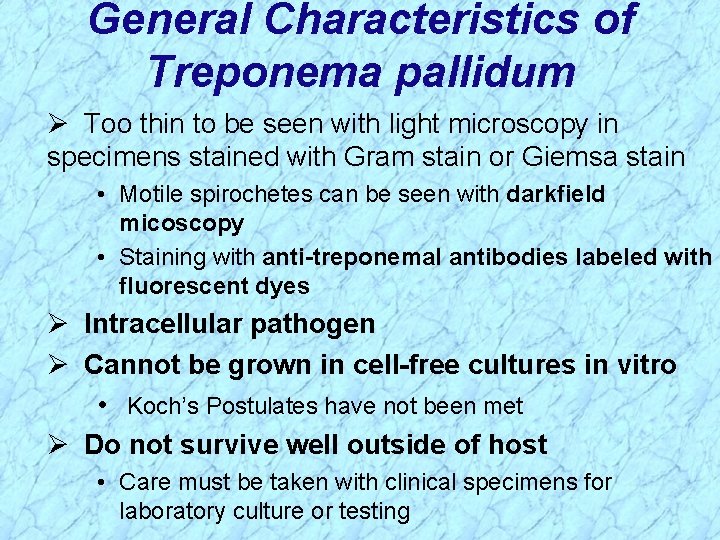 General Characteristics of Treponema pallidum Ø Too thin to be seen with light microscopy