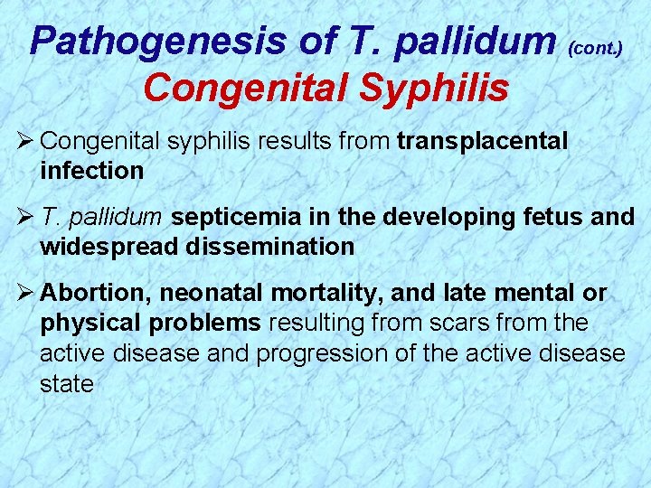Pathogenesis of T. pallidum (cont. ) Congenital Syphilis Ø Congenital syphilis results from transplacental
