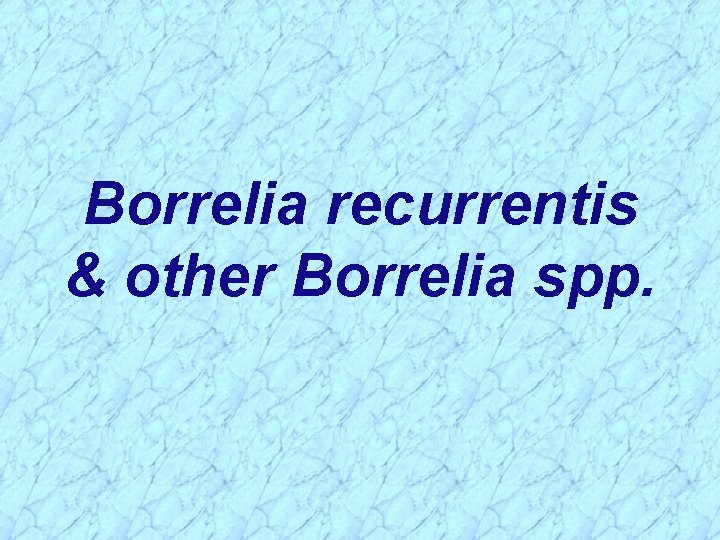 Borrelia recurrentis & other Borrelia spp. 