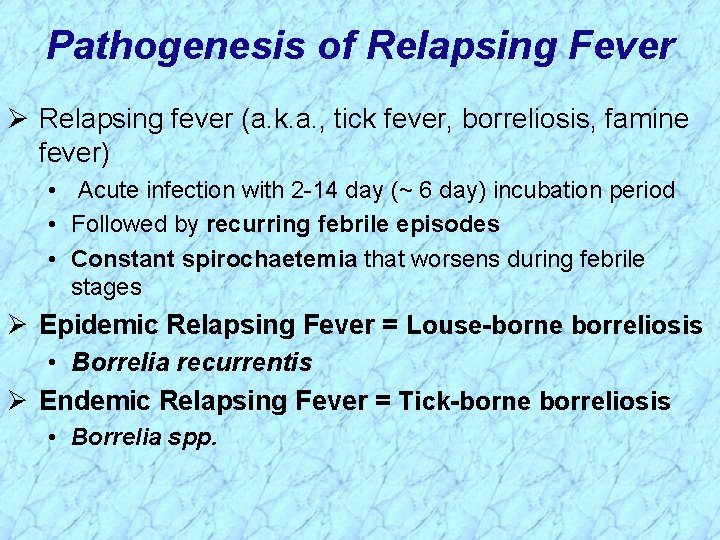 Pathogenesis of Relapsing Fever Ø Relapsing fever (a. k. a. , tick fever, borreliosis,