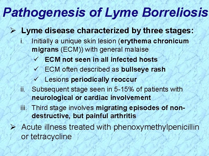 Pathogenesis of Lyme Borreliosis Ø Lyme disease characterized by three stages: i. Initially a