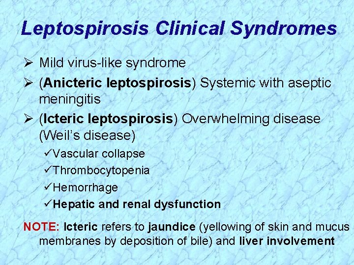 Leptospirosis Clinical Syndromes Ø Mild virus-like syndrome Ø (Anicteric leptospirosis) Systemic with aseptic meningitis