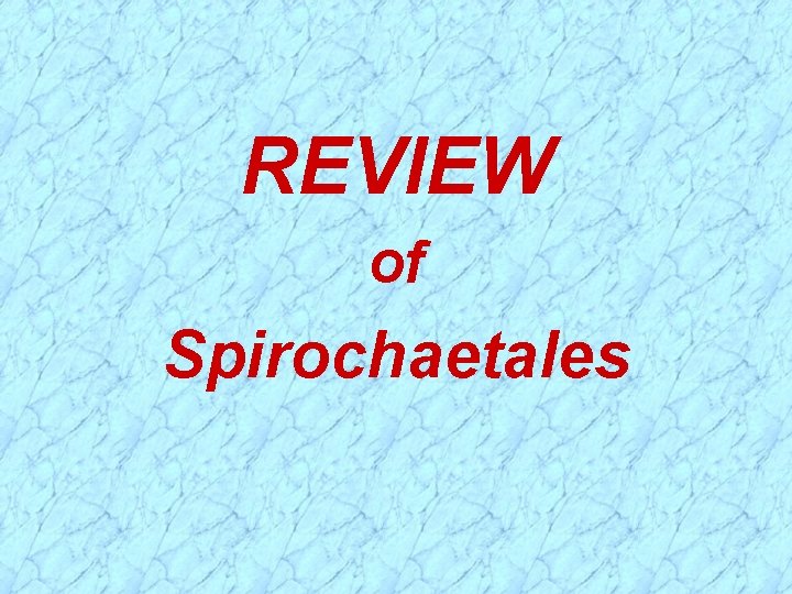 REVIEW of Spirochaetales 