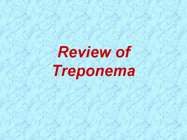 Review of Treponema 