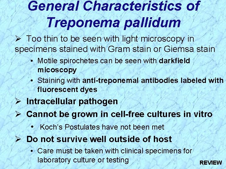 General Characteristics of Treponema pallidum Ø Too thin to be seen with light microscopy