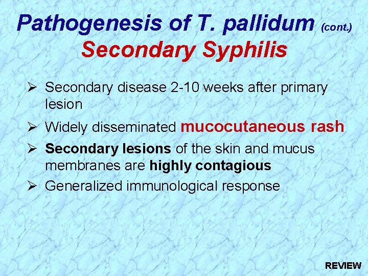 Pathogenesis of T. pallidum (cont. ) Secondary Syphilis Ø Secondary disease 2 -10 weeks