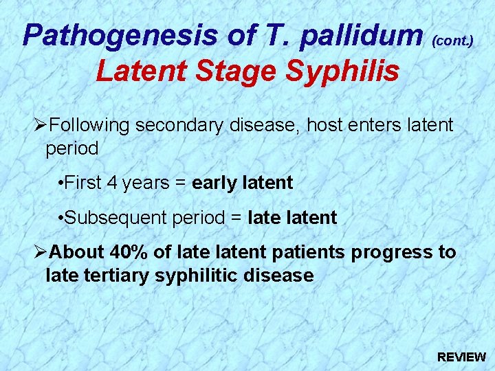 Pathogenesis of T. pallidum (cont. ) Latent Stage Syphilis ØFollowing secondary disease, host enters