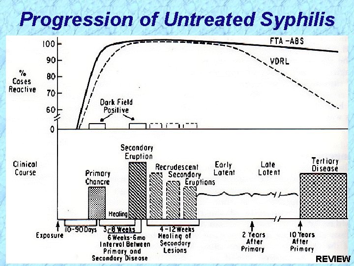 Progression of Untreated Syphilis REVIEW 